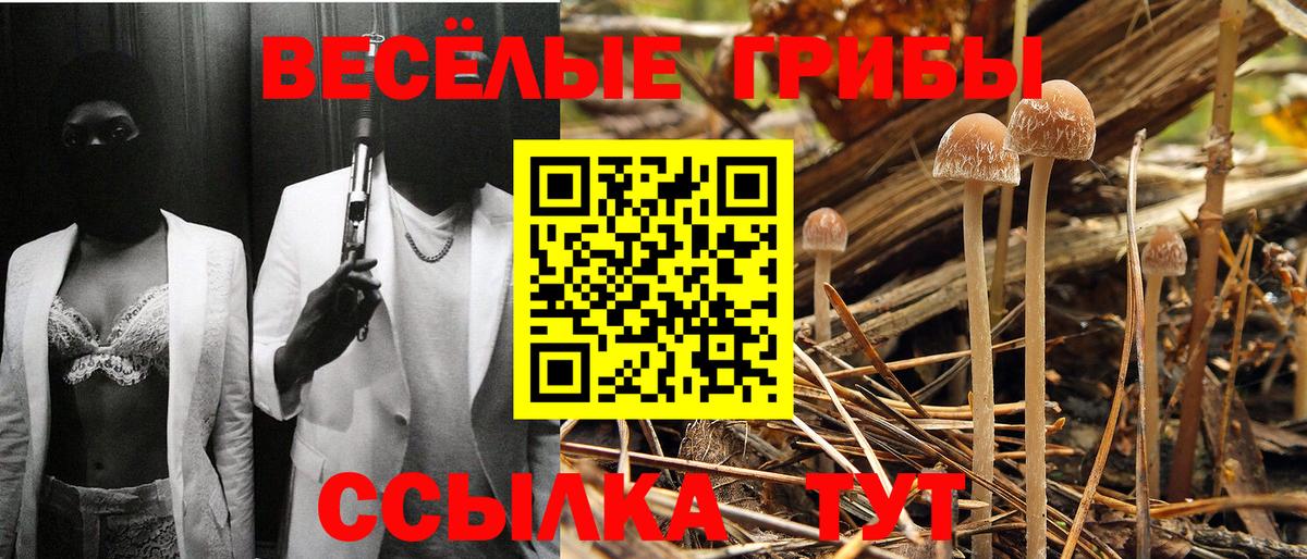 Галлюциногенные грибы Cubensis  Галлюциногенные грибы Psilocybe  Орск  Вход с VPN 