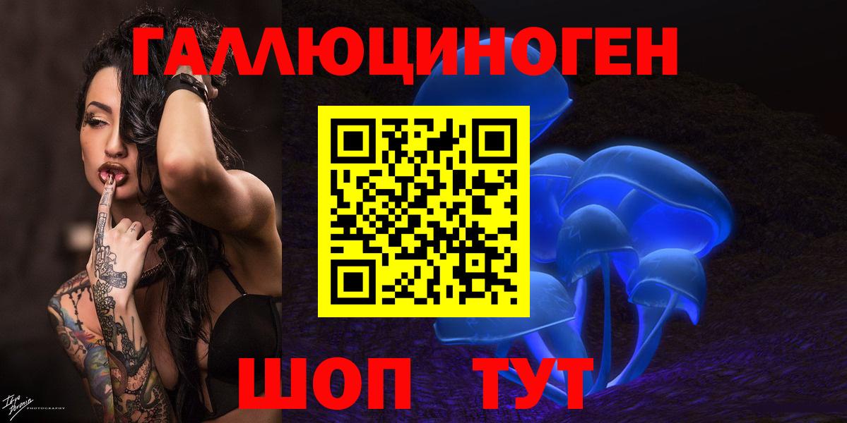 Галлюциногенные грибы Psilocybe Орск